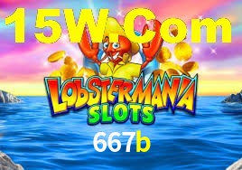 667b login